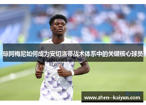 琼阿梅尼如何成为安切洛蒂战术体系中的关键核心球员