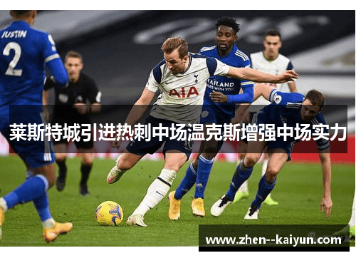 莱斯特城引进热刺中场温克斯增强中场实力 莱斯特城引进热刺中场温克斯增强中场实力