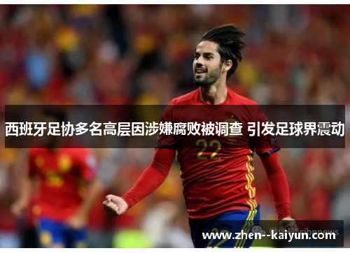 西班牙足协多名高层因涉嫌腐败被调查 引发足球界震动 西班牙足协多名高层因涉嫌腐败被调查 引发足球界震动