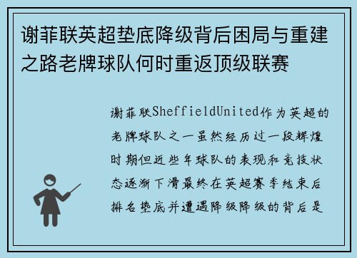 谢菲联英超垫底降级背后困局与重建之路老牌球队何时重返顶级联赛 谢菲联英超垫底降级背后困局与重建之路老牌球队何时重返顶级联赛