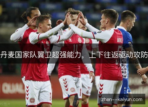 丹麦国家队翼卫超强能力，上下往返驱动攻防